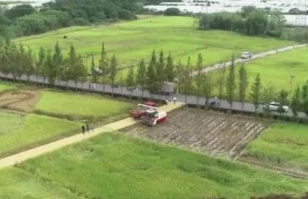 豐收中國·浙江浦江：稻作全程機(jī)械化 農(nóng)業(yè)生產(chǎn)越來越高效