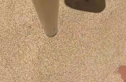 世界糧食日：科技儲(chǔ)糧 筑牢糧食安全壓艙石