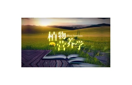 植物營養(yǎng)學(xué)與農(nóng)業(yè)生產(chǎn)（系列講座視頻）