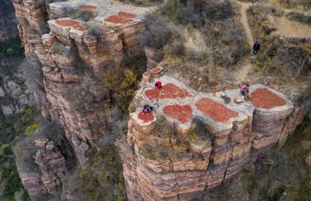 第十屆全國農(nóng)民攝影大展作品：懸崖曬秋