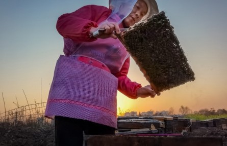 第十屆全國農(nóng)民攝影大展作品：甜蜜的事業(yè)