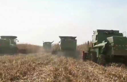 黑龍江：變“豐收在田”為“豐收進(jìn)倉”