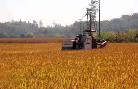 我國糧食應(yīng)急保障體系初步建立