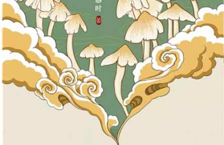 食用菌“拍照識菌全”應(yīng)用軟件“菌窩子”上線運行