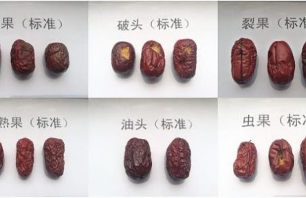 93、成果名稱:紅棗質(zhì)量檢驗分級與標(biāo)準(zhǔn)化技術(shù)服務(wù)