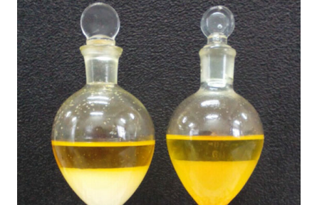 91、成果名稱：枸杞及其加工產(chǎn)品中類胡蘿卜素快速提取檢測技術(shù)