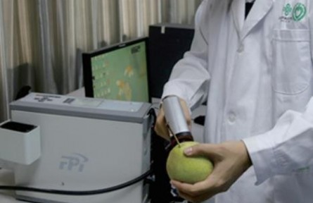 88、成果名稱：水果內(nèi)在品質(zhì)實時、無損分析技術(shù)