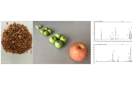 78、成果名稱：蘋果疏果多酚制備技術(shù)