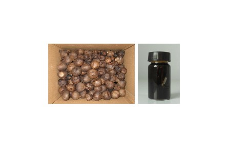 79、成果名稱：黑蒜汁及副產(chǎn)物綜合利用技術(shù)