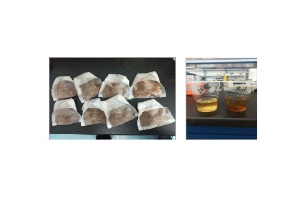 62、成果名稱(chēng)：靈芝子實(shí)體汽爆超微速溶茶加工技術(shù)