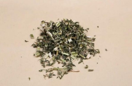 學(xué)認(rèn)中藥材：益母草