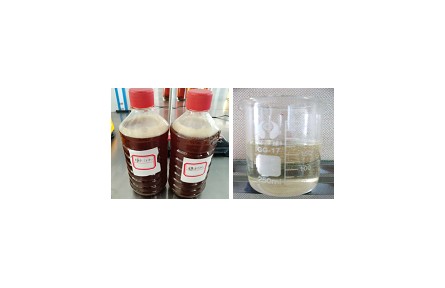 59、成果名稱(chēng)：果脯蜜餞加工廢糖液回收利用關(guān)鍵技術(shù)