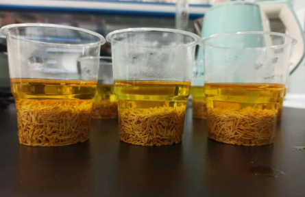 ?53、成果名稱(chēng)：牡丹花蕊汽爆速溶茶加工技術(shù)