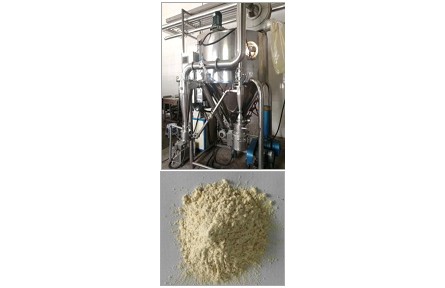 ?43、成果名稱：速溶果蔬粉生產關鍵技術