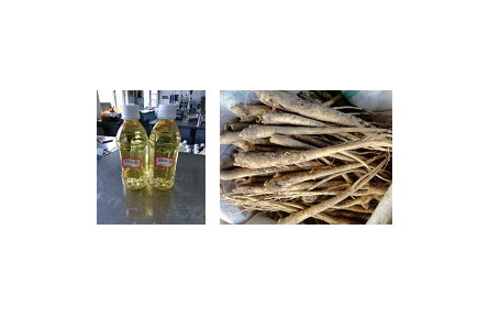 38、成果名稱：澄清型桔梗汁加工關鍵技術