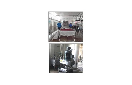 33、成果名稱：超細高濃紅棗漿加工關鍵技術