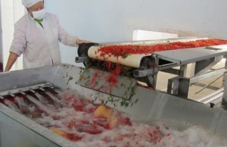 31、成果名稱：高胡蘿卜素含量的鮮枸杞濃縮漿生產技術