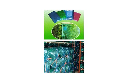 14、成果名稱：蒜苔貯藏保鮮實用技術(shù)