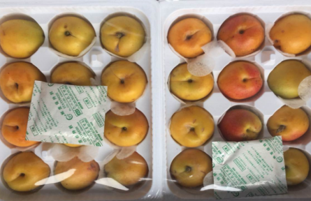 10、成果名稱：杏電商流通保鮮技術(shù)