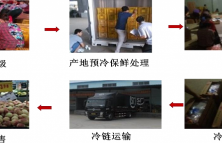 4、成果名稱：桃采后冷鏈流通保鮮技術(shù)
