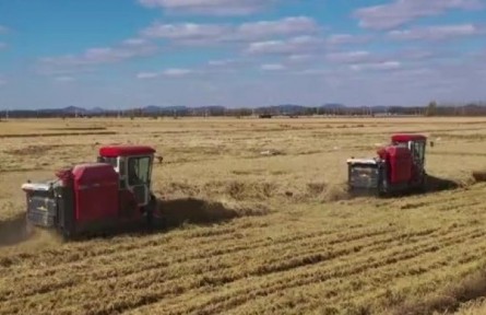 吉林省吉林市：農(nóng)業(yè)芯片（種子）讓碗里盛滿中國(guó)糧