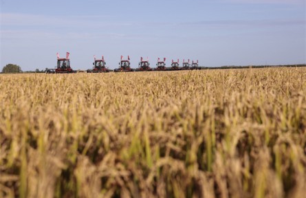 黑龍江：農(nóng)業(yè)發(fā)展的背后，是十足科技范兒