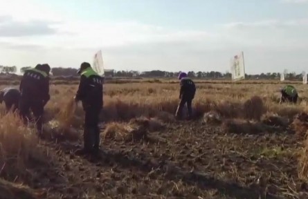 黑龍江：好糧，源于標準