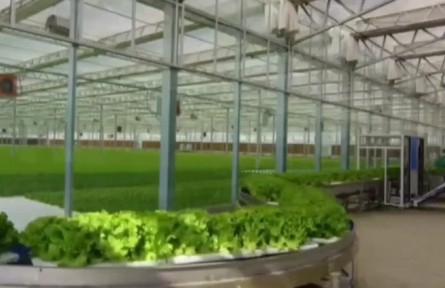 廣東：當(dāng)傳統(tǒng)農(nóng)業(yè)遇上現(xiàn)代“黑科技” 豐收原來如此簡(jiǎn)單