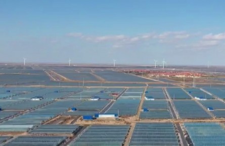 山東省東營市河口區(qū)：農(nóng)村“三變”改革帶動鄉(xiāng)村振興