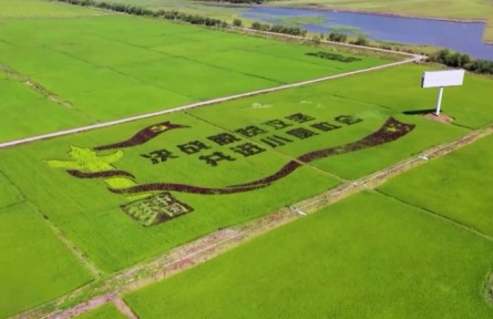 擺脫貧困：中國書寫人類發(fā)展史上的光輝篇章