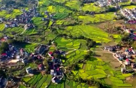 【弘揚(yáng)偉大建黨精神 開(kāi)創(chuàng)歷史新偉業(yè)】百年大黨引領(lǐng)中華民族偉大復(fù)興