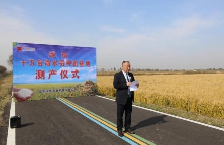 山東省濰坊市寒亭區(qū)高里街道：昔日鹽堿地 今日聚寶盆