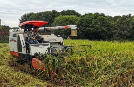 科技先行 浙江省紹興市積極打造特色未來農(nóng)業(yè)