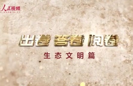 “為什么說綠水青山就是金山銀山？”