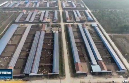 山東省濱州市沾化區(qū)：“上光下養(yǎng) 光畜互補(bǔ)”推動鄉(xiāng)村振興新發(fā)展