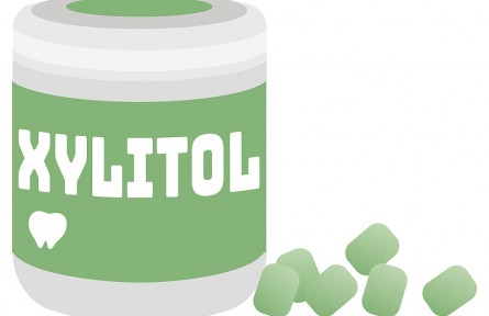 科技名詞 | 木糖醇