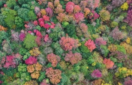 福建武平：保護生物多樣性 共建和諧美麗家園