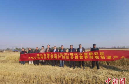 浙江大學(xué)成果在臨沂落地 “真打糧”可使水稻畝增產(chǎn)83斤
