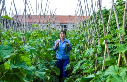 “一村一品” 串珠成鏈——河北省蔚縣宋家莊鎮(zhèn)打造富裕美麗新農(nóng)村