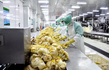 黑龍江北安市紅星農(nóng)場(chǎng)（酸菜）獲批全國“一村一品”示范鎮(zhèn)認(rèn)定