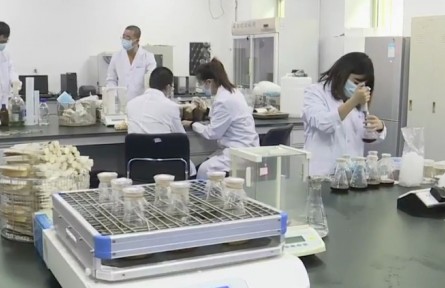 黑龍江：接續(xù)奮斗 征程再啟