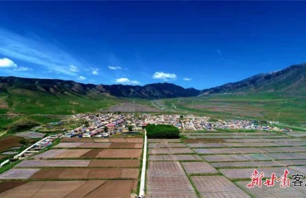 甘肅：統(tǒng)籌推進(jìn)疫情防控和高標(biāo)準(zhǔn)農(nóng)田建設(shè)