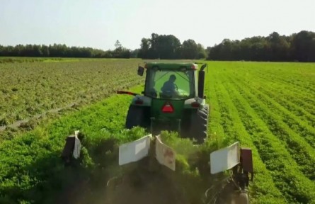 河南：加快轉(zhuǎn)型升級 實現(xiàn)農(nóng)業(yè)高質(zhì)量發(fā)展