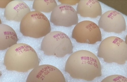 江蘇淮安盱眙縣鮑集鎮(zhèn)鄒黃村：打碼的雞蛋，新鮮看得見！?