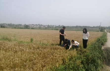 安徽懷寧臘樹鎮(zhèn)：辦實(shí)事 開新局 加強(qiáng)農(nóng)業(yè)技術(shù)指導(dǎo)