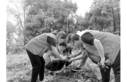 重慶江津區(qū)黨員科技特派員志愿服務(wù)團(tuán)把科技服務(wù)落實(shí)到農(nóng)民心坎上