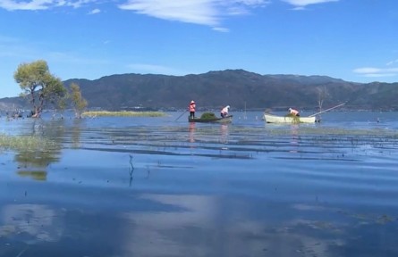 云南：打響“湖泊革命”攻堅(jiān)戰(zhàn) 九湖保護(hù)治理持續(xù)發(fā)力