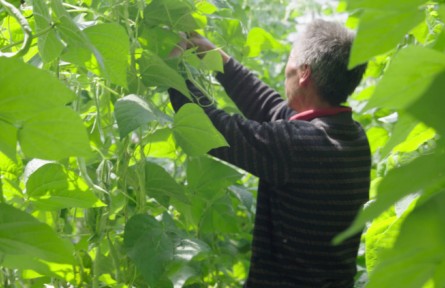 陜西省綏德縣：郝家橋村的至高榮譽