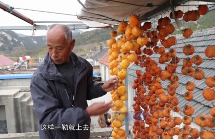 山東煙臺牟平區(qū)：初冬柿子餅的甜蜜鄉(xiāng)愁