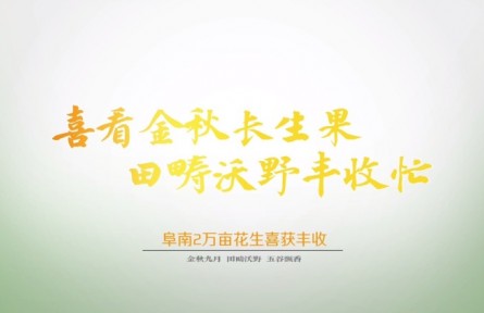 安徽阜南：兩萬(wàn)畝花生喜獲豐收